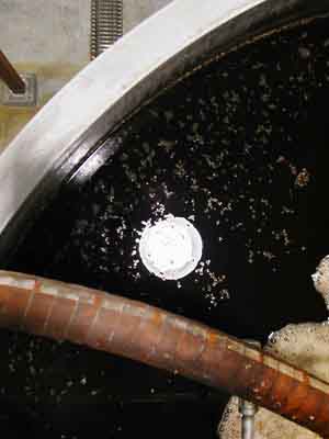 [View of reflecting mash]
